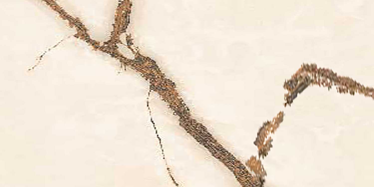 Stellina Gold Streak Wall Tiles