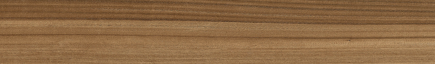 Essenze Eucalipto Living Room Tiles